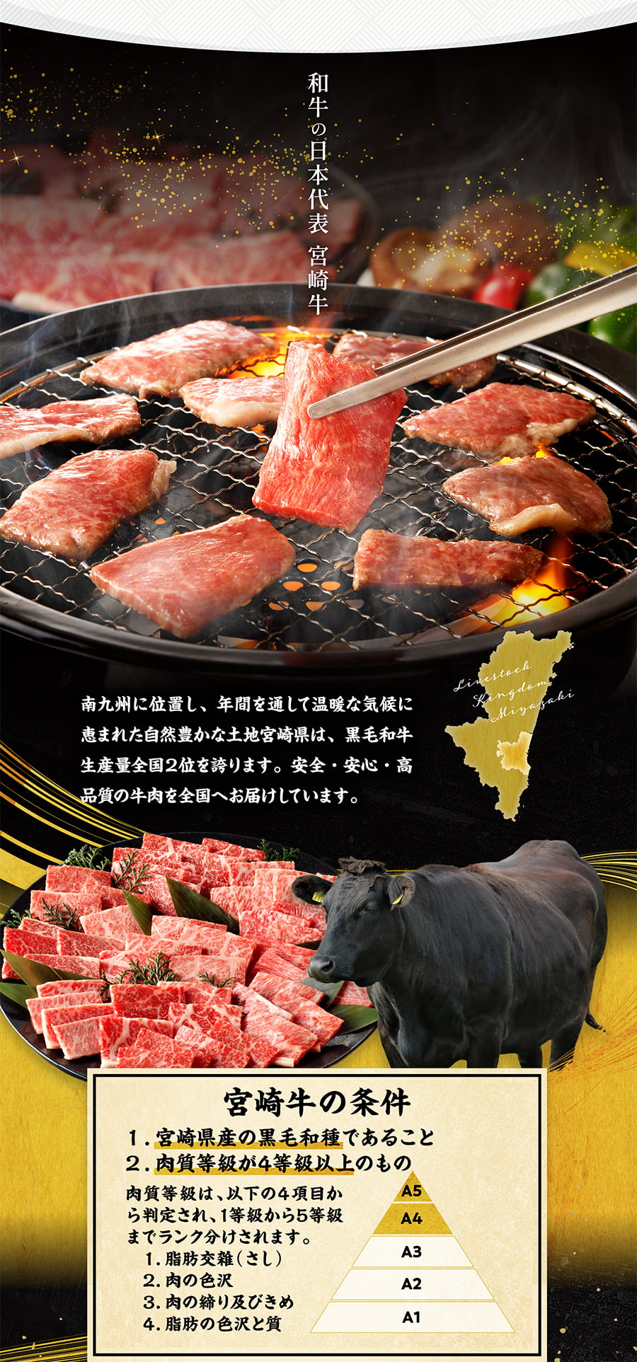 和牛の日本代表 宮崎牛 南九州に位置し、年間を通して温暖な気候に恵まれた自然豊かな土地宮崎県は、黒毛和牛生産量全国２位を誇ります。安全・安心・高品質の牛肉を全国へお届けしています。