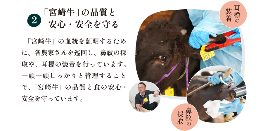 「宮崎牛」の品質と安心・安全を守る
