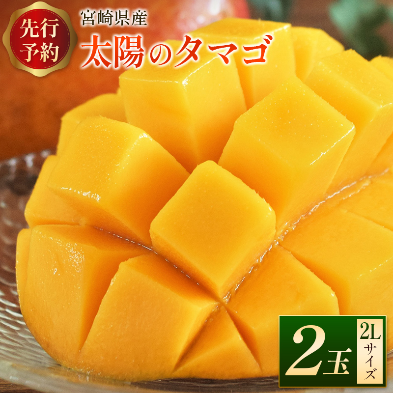 ＜先行予約＞宮崎県産 「太陽のタマゴ」2Lサイズ 2玉 完熟マンゴー