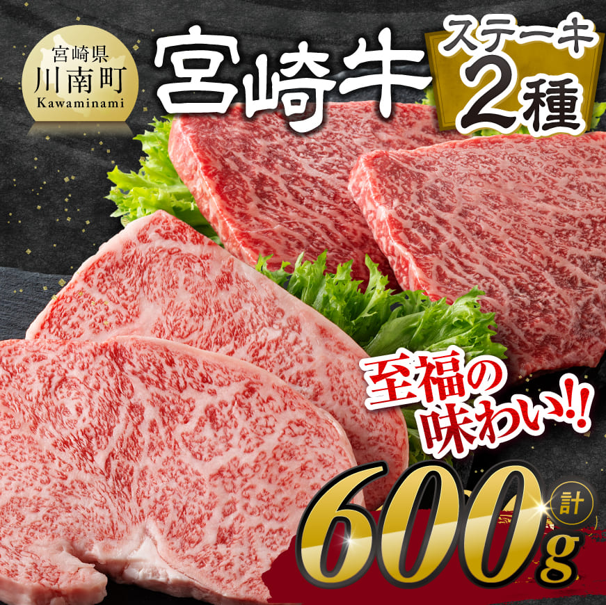 宮崎牛ステーキ 2種 600g