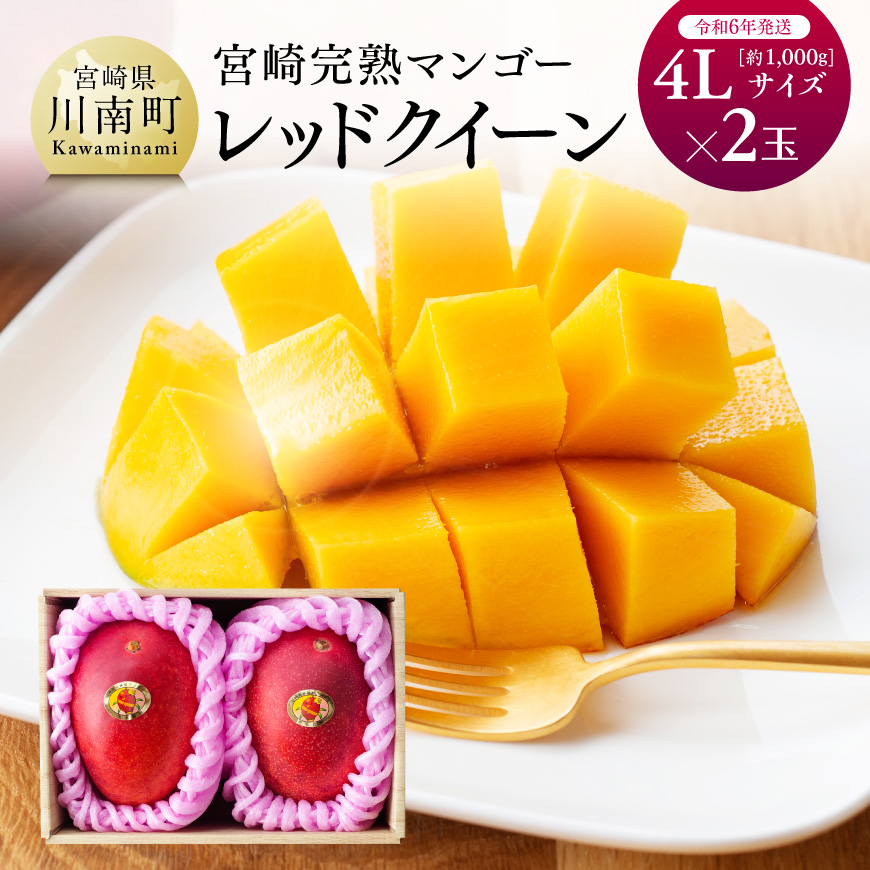 【 令和６年発送 】 宮崎県産完熟マンゴー 「 レッドクイーン 」 4L×2玉