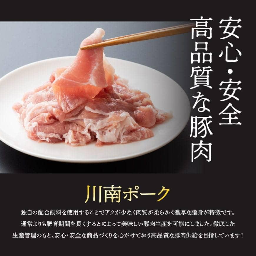 安心安全高品質な豚肉 ふるさと納税 豚肉 ふるさと納税豚肉 肉 小分け 豚