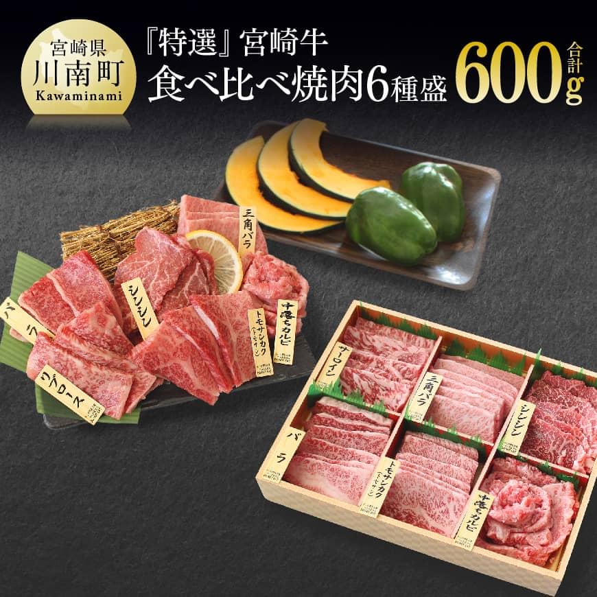 【特選】 宮崎牛 6種盛 焼肉 食べ比べ セット