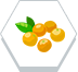 フルーツ・果実のイメージ