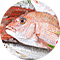 魚介類のイメージ