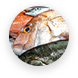 魚介類のイメージ