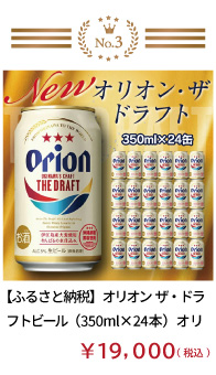 【ふるさと納税】オリオン　ザ・ドラフトビール（350ml×24本）オリオンビール