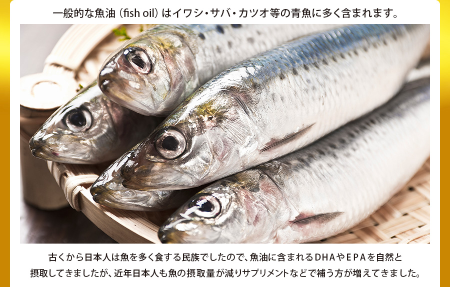 魚油が多く含まれている青魚の一種の鰯