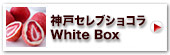 神戸セレブショコラ(白箱)