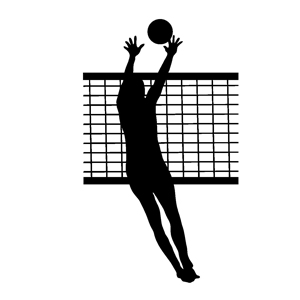 Х졼ܡ | Volleyball