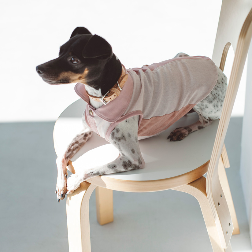 【楽天市場】【犬 服】【ドッグウェア】バイカラー シャツ犬服 おしゃれ シャツ 高級 シンプル いぬ 洋服 ウェア ドッグ：フリーステッチ