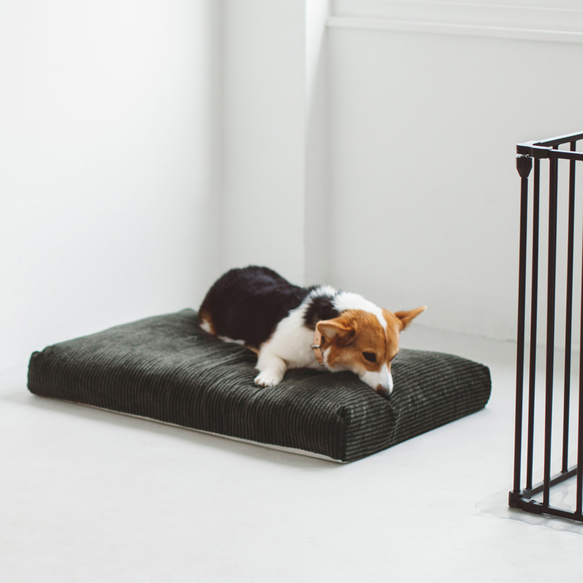 【楽天市場】【犬 ベッド】【犬 ベッド】犬・猫ベッド ペット用ベッド ベッド bed 洗える リネン ふかふか 国産 ペット 中型犬 大型犬