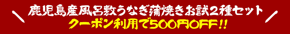 鹿児島産うなぎ蒲焼きお試2種セットがクーポン利用で500円OFF！
