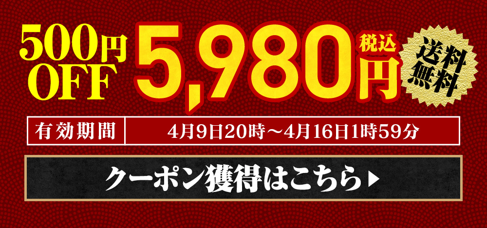500円OFFクーポン獲得はこちら　利用期限：4/9 20:00～4/16 1:59