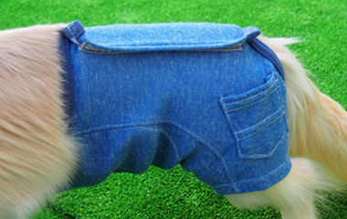 ダックス 小型犬専門 ドッグスリング 犬の服 マナーパンツ サニタリーパンツ ペットグッズ ドッグウェア チワワ コーギー トイプードル パグ の犬 の服の通販フルオブビガー