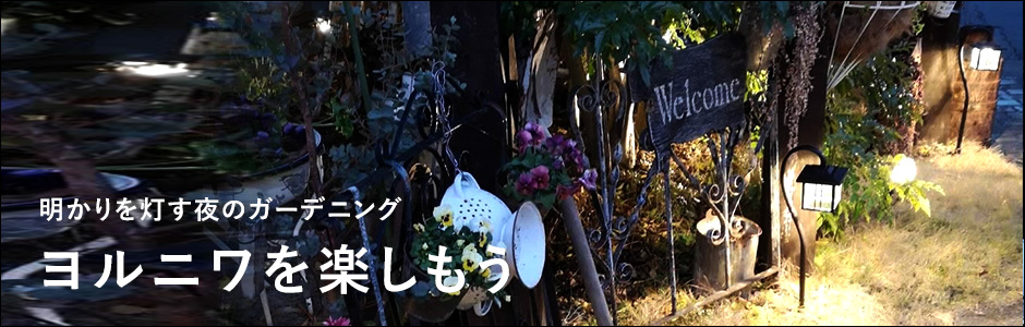 日本半額 NXstyle ガーデンルーフFセット RKN-F 9900780（同梱・代引き不可） 花瓶、花器  LITTLEHEROESDENTISTRY