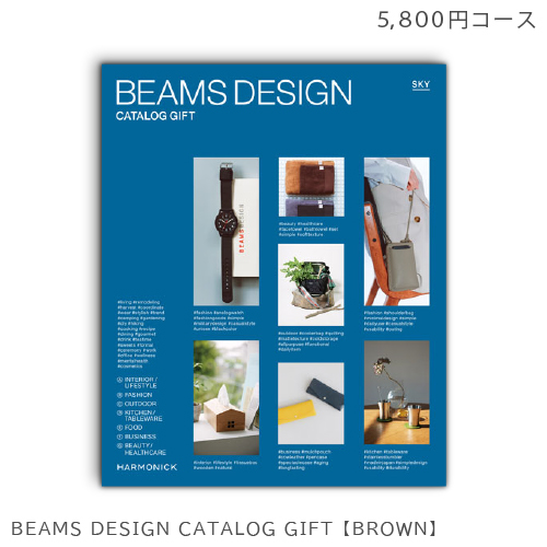 BEAMS DESIGN CATALOG GIFT【SKY】