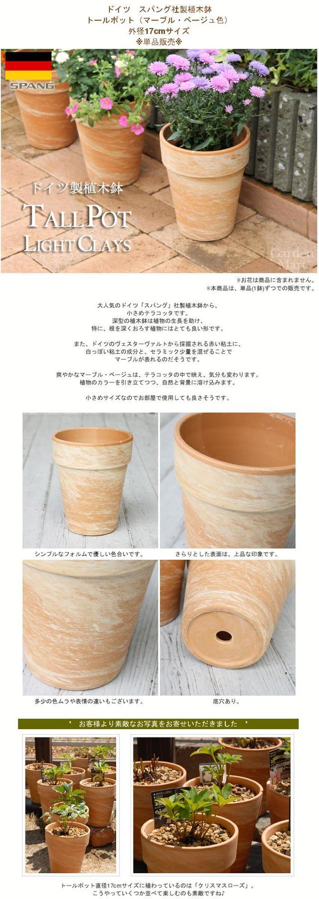 専用ページ　テラコッタ鉢　ドイツ製　スパング　プランター　植木鉢