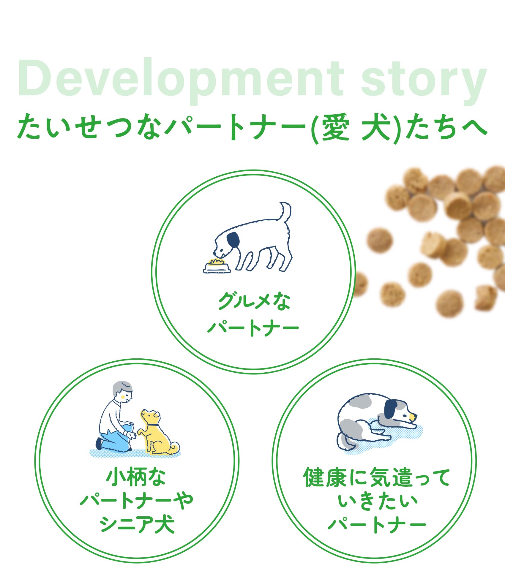 Development Story