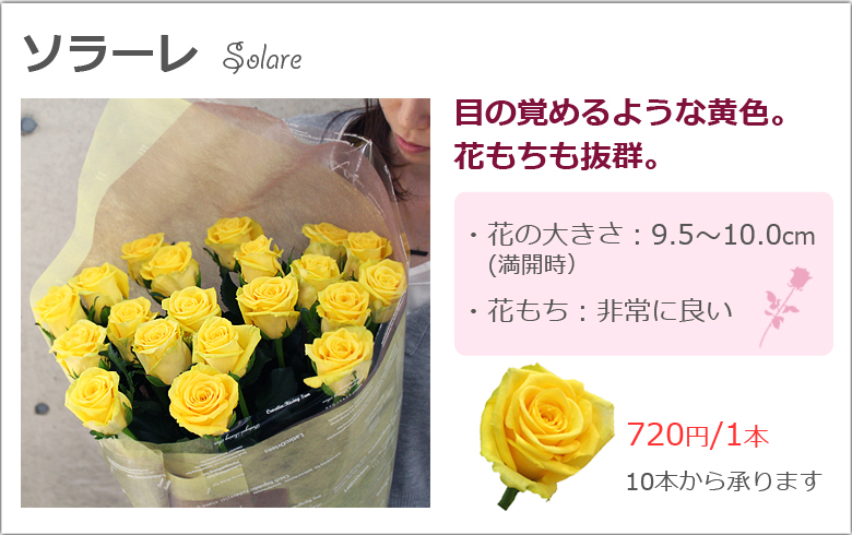 楽天市場 母の日特集 バラの花束 通販 Hana Rug