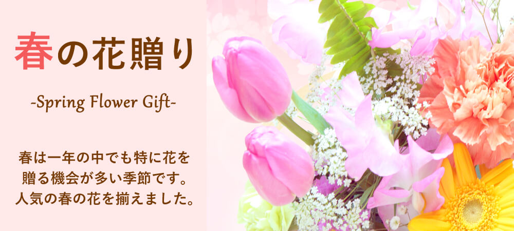 春の花贈り チューリップや桜(さくら)、フリージアetc.