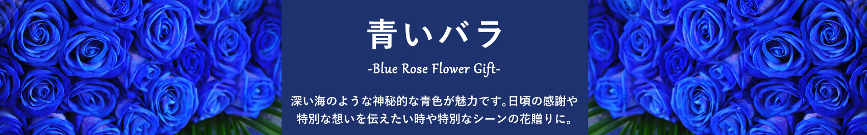 青いバラ/ブルーローズ/ブルーローズ花贈り