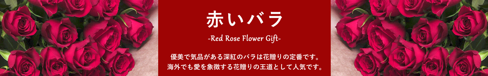 赤いバラ/レッドローズ