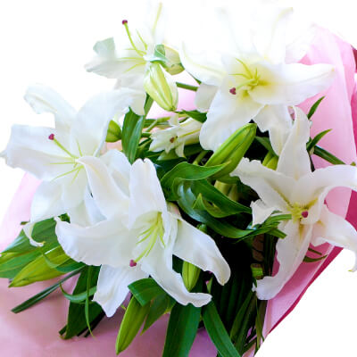 送別祝い/退職祝い/豪華大輪系 白いユリの花束