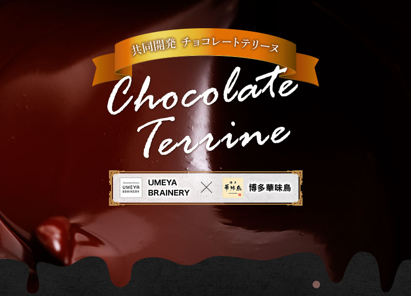 共同開発 チョコレートテリーヌ