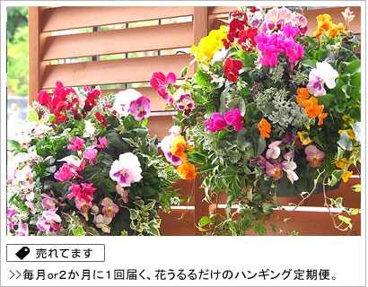 花の寄せ植え作品を始めハンギングバスケット ギャザリング ハーバリウム ギフトの店 花うるる 花でうるおう毎日