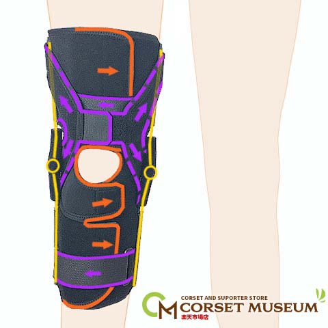 後十字靭帯の医療用サポーター｜膝の動きを整える｜大腿四頭筋を補強｜動きやすい