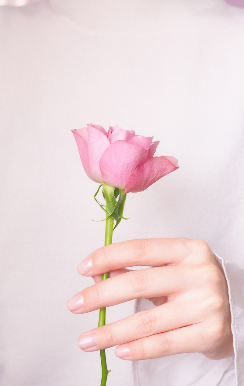 バラを持つ女性の手