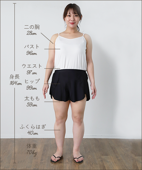ぽっちゃりさんの体型についてのデータ例