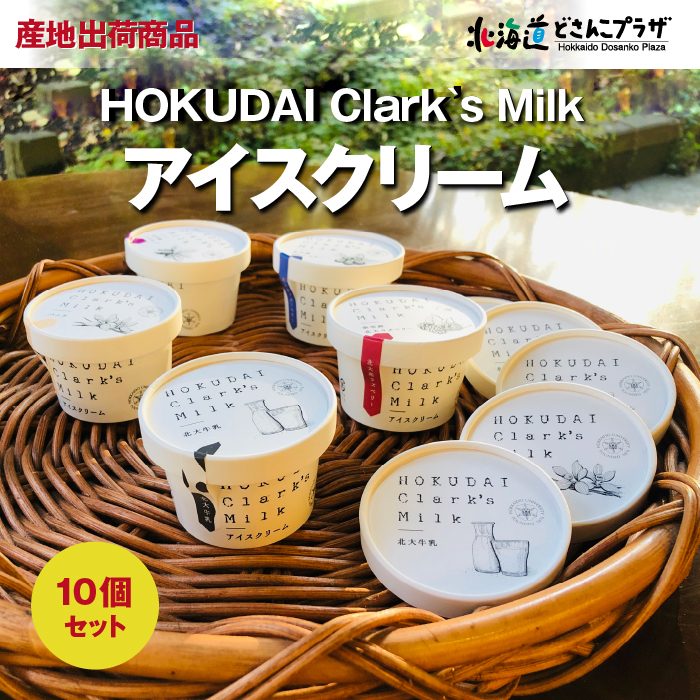 HOKUDAI Clarks Milk アイスクリーム10個セット