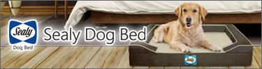 Sealy Dog bed 愛犬用ベッド