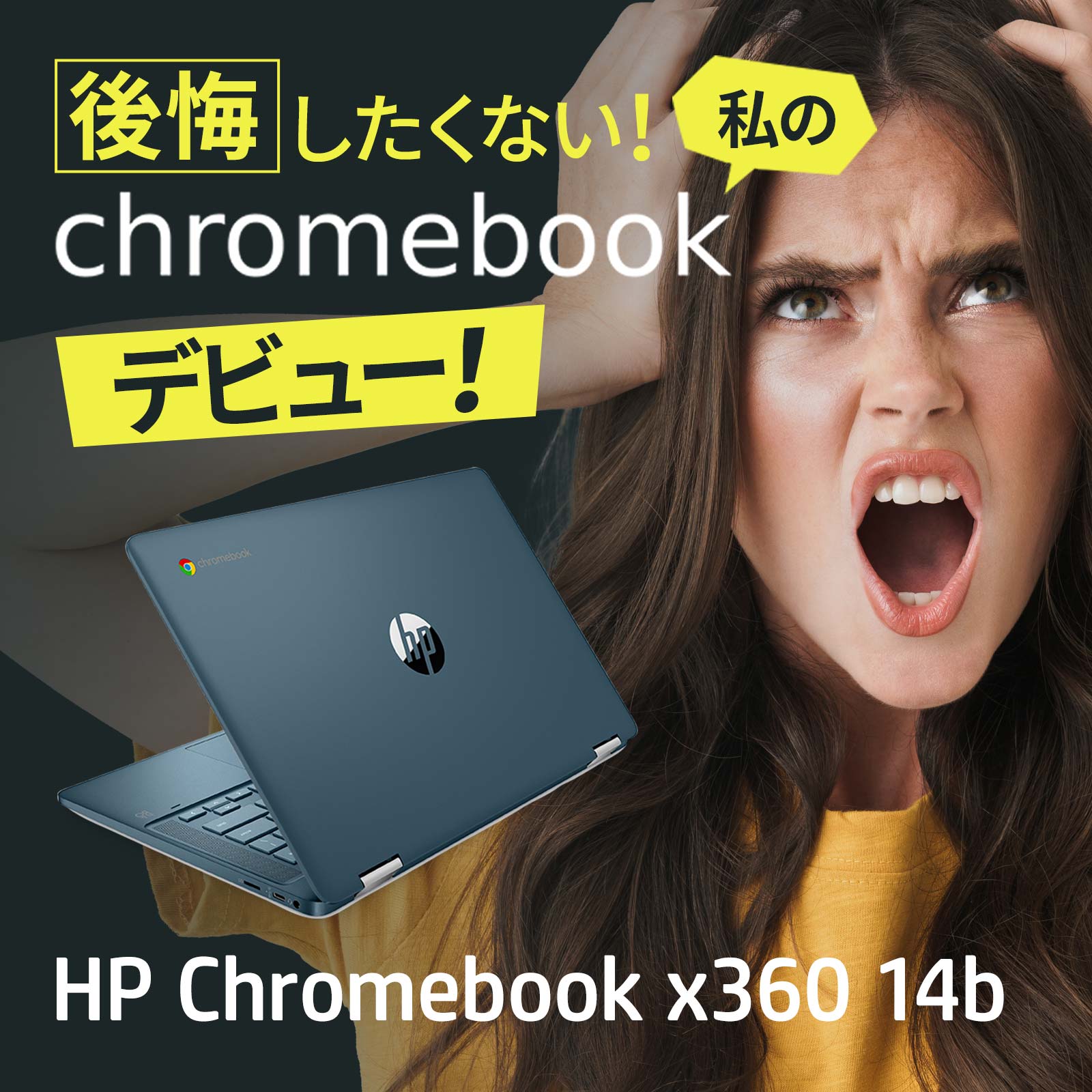ʤ Chromebook ǥӥ塼