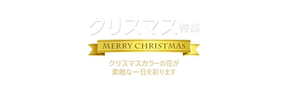 クリスマス ギフト・プレゼント特集2021