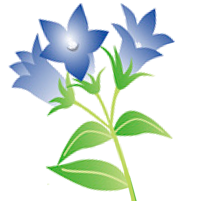 花の種類から探す｜花キューピットの敬老の日におすすめ！人気のフラワーギフト特集 2020