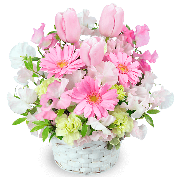 チューリップ チューリップ お子様に人気の花｜花キューピットのひな祭り特集 2020