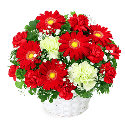 冬の花贈りギフト おすすめランキング｜花キューピットの冬の花贈りプレゼント・ギフトにおすすめ！人気のプレゼント特集 2021