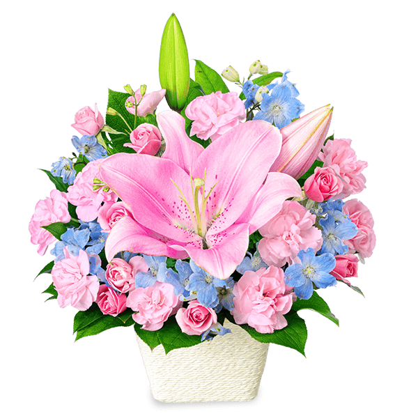 冬の花贈り 花のおすすめランキング｜冬の花贈り ギフト・プレゼント特集2023