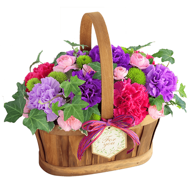 花言葉は「永遠の幸福」 ムーンダストを贈る｜花キューピットの母の日におすすめ！人気のプレゼント特集 2021