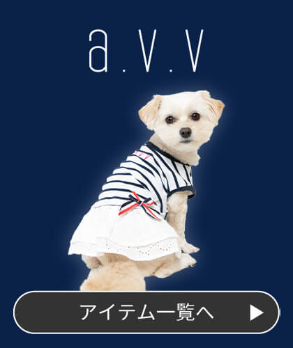 a.v.v商品の写真