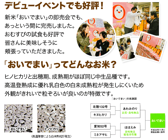 【楽天市場】新米 香川県 おいでまい 米 10kg 送料無料 令和4年 讃岐米 お米 5kg×2 白米 10キロ 内祝い ギフト お祝い お