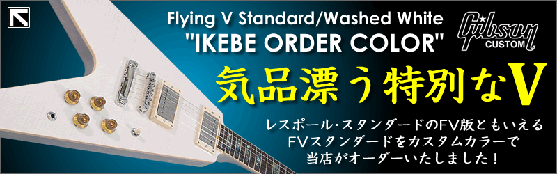 Gibson CUSTOM SHOP Custom Collection Flying V Standard/Washed White
