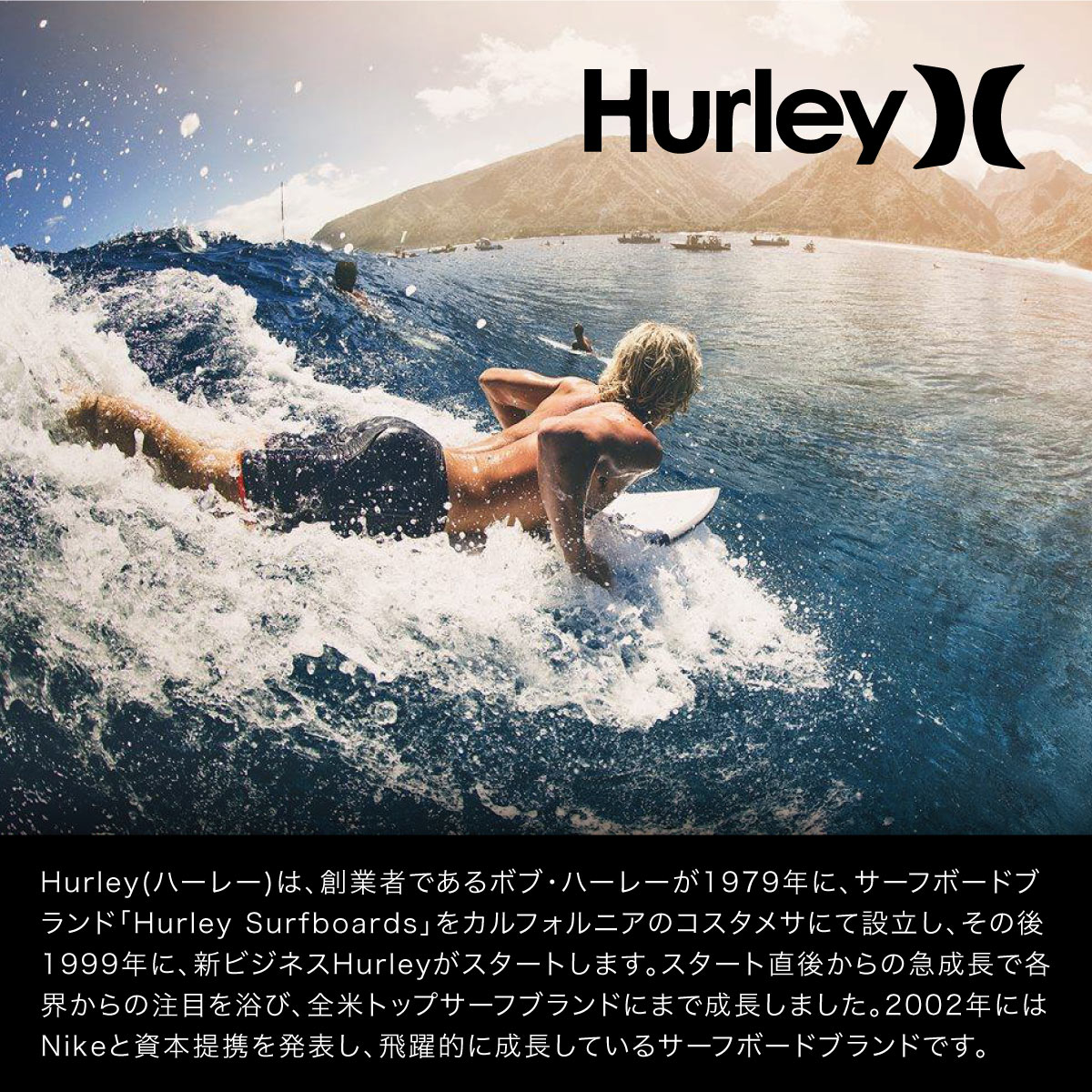 楽天市場】Hurley ハーレー クリプティック ティキ ボードショーツ