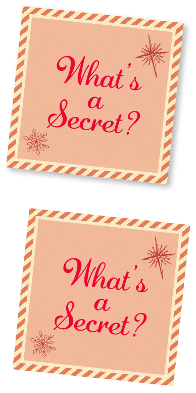 What's a Secret?