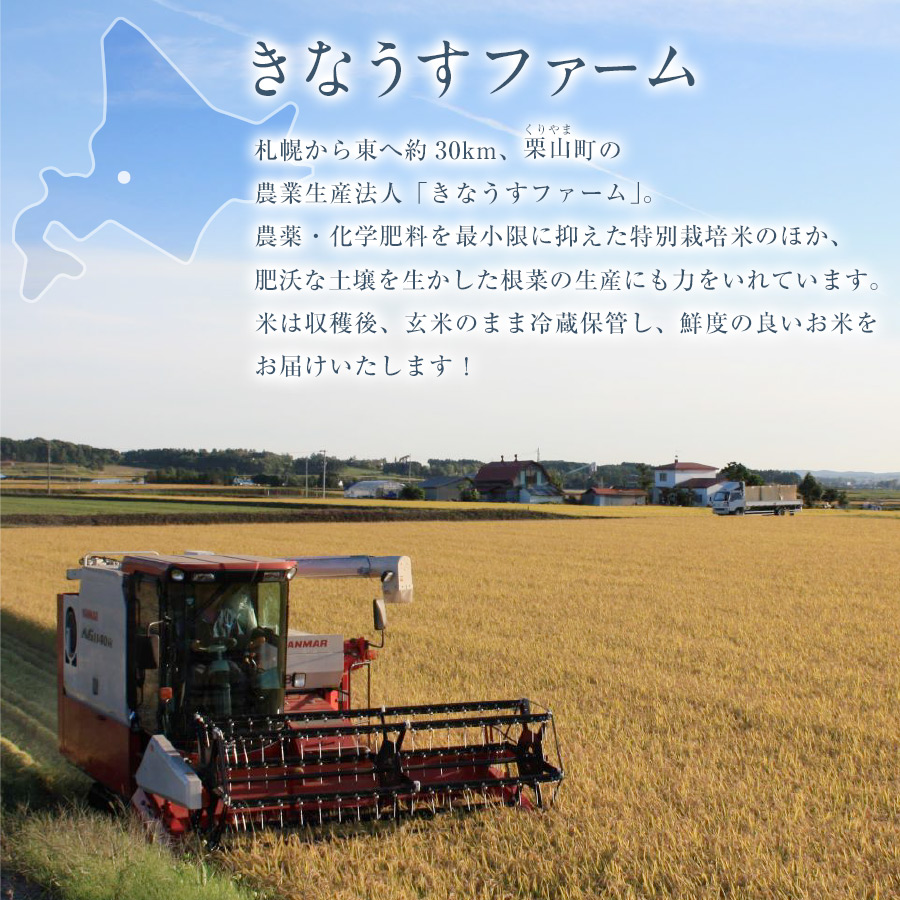 楽天市場】☆48時間限定5%OFFクーポン発行中☆ 特別栽培米 ななつぼし 