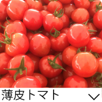 薄皮トマト