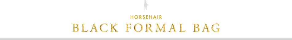 HORSEHAIR BLACK FORMAL BAG